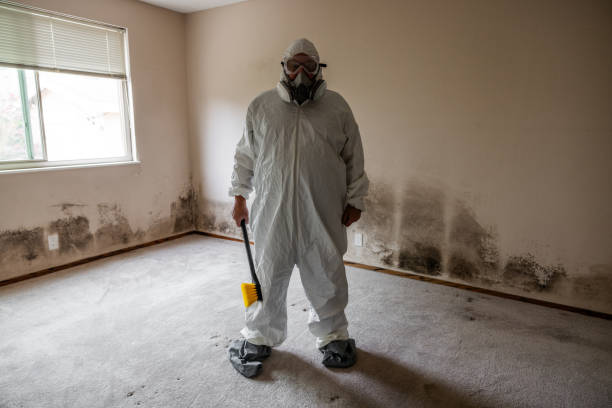 Best Office Mold Removal Services  in Clarkdale, AZ